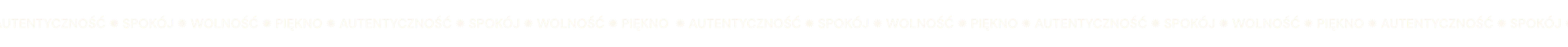 Ozdobnik napisy 2